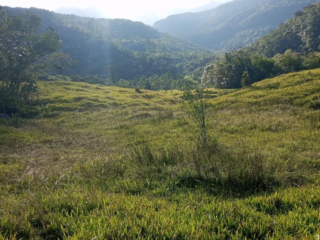 Fazenda Serra do Corvo Branco (145 ha) - foto 1